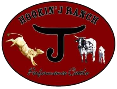 Hookin J Ranch - Performance Cattle_logo